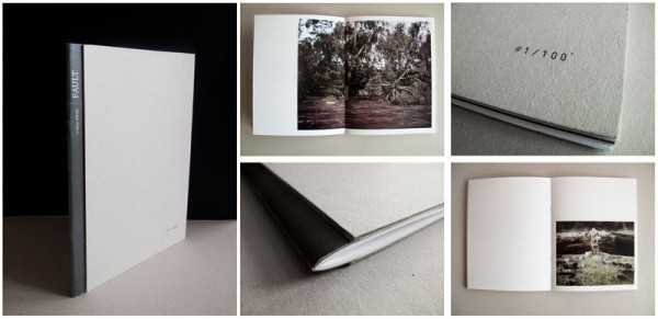 Fault_Carlos Albala_Bside Books_2011_Low